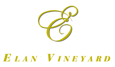 Elan Vineyard Logo
